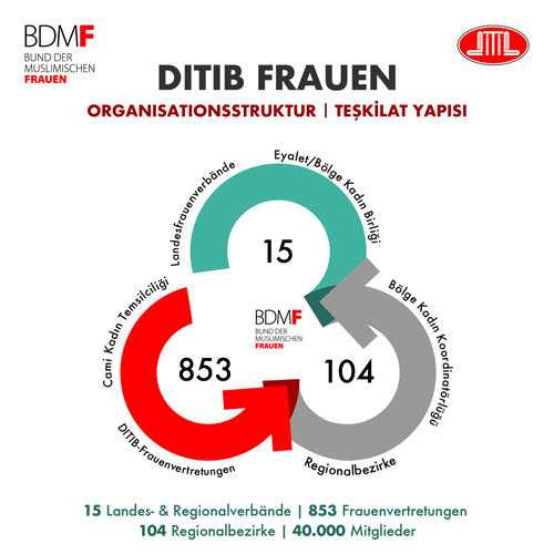 BDMF Organigramm